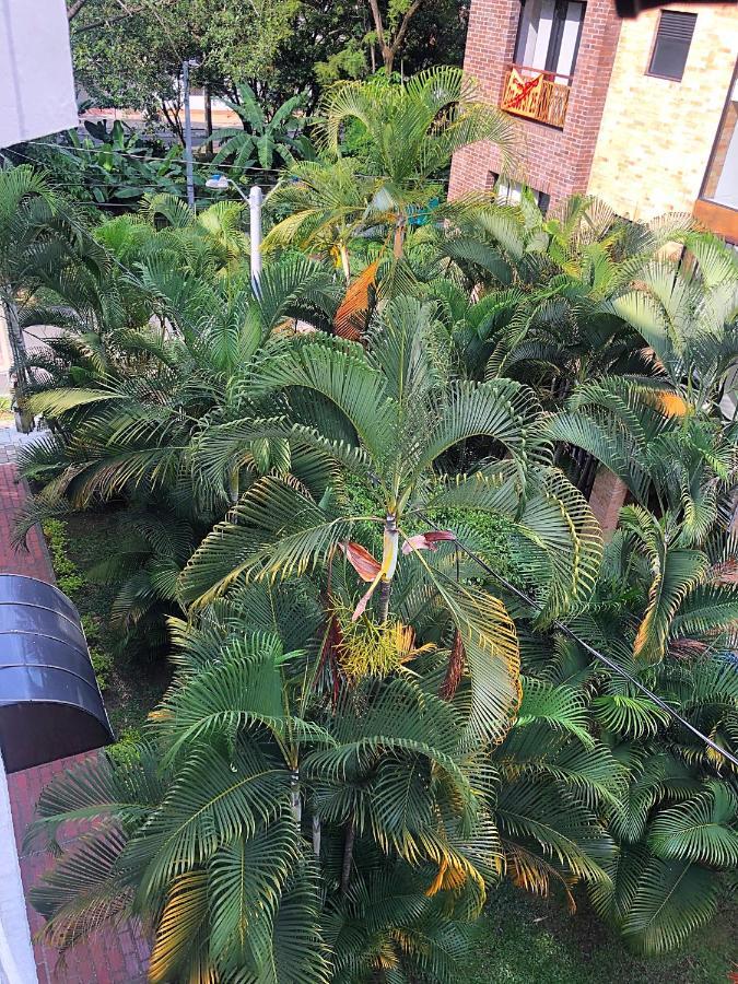 Casa Rosales Hotel Medellin Ngoại thất bức ảnh